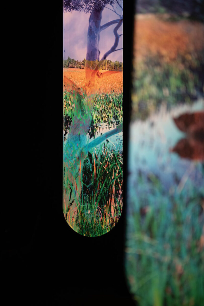 A close-up shot of a photo on a perspex panel.