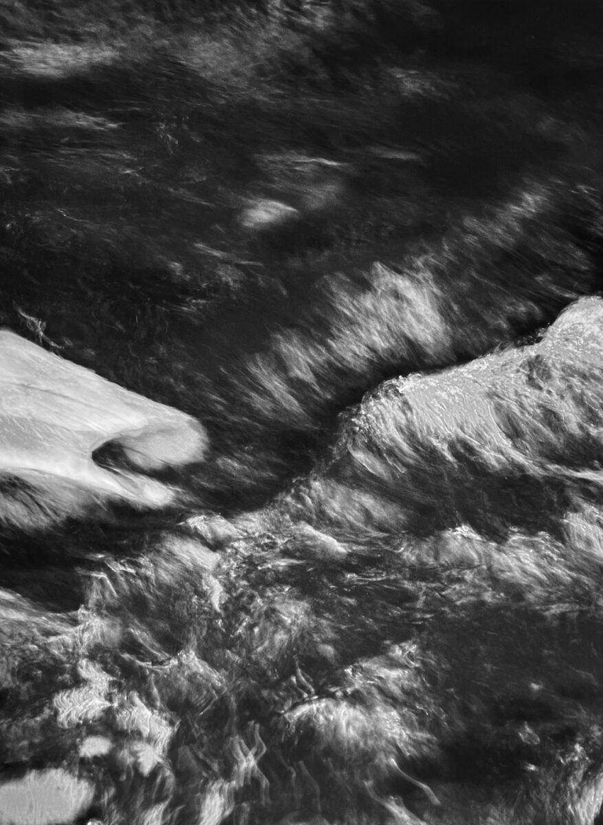 Blurry photo of a bird at the merri creek.